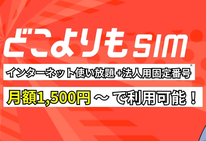 どこよりもSIM