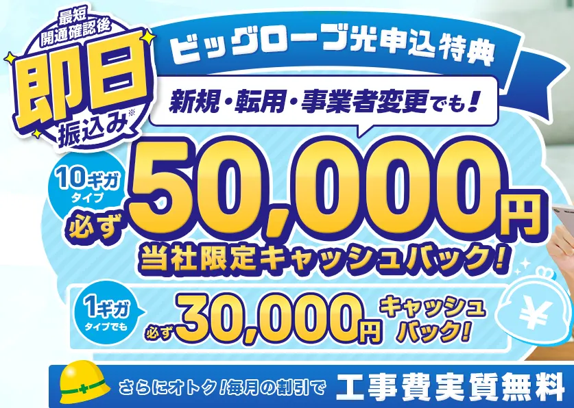 ビッグローブ光